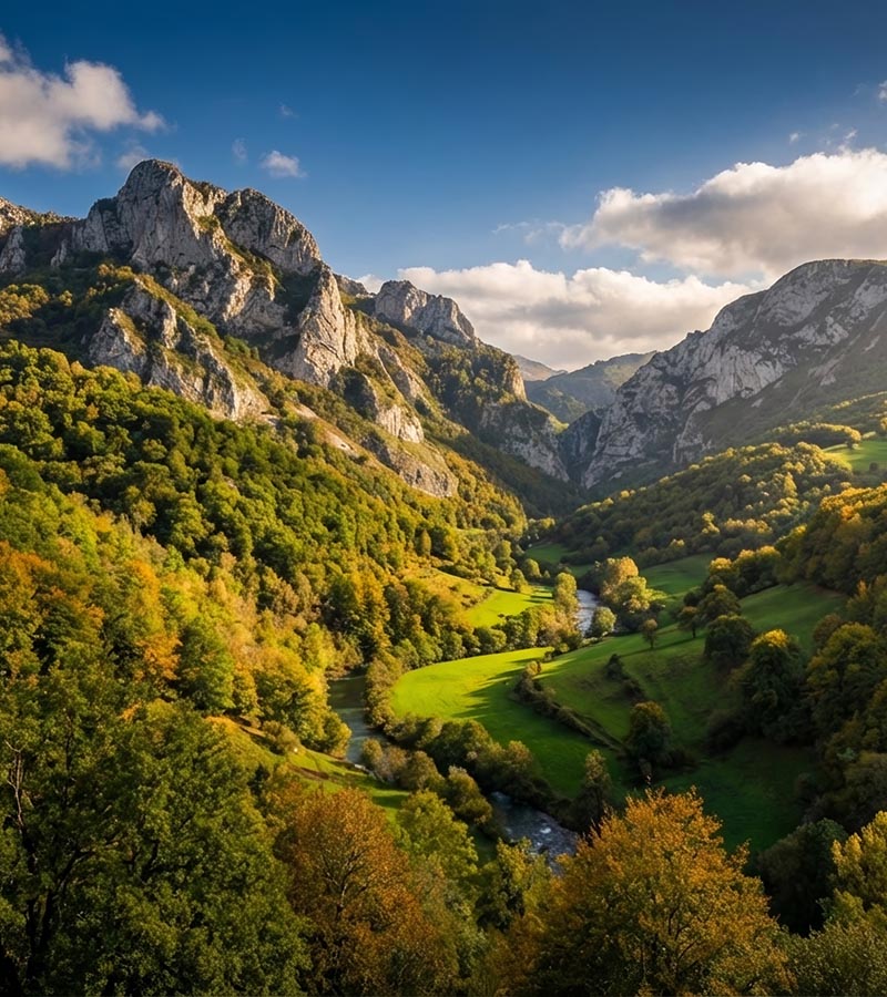 Reservar bicicleta Senda del Oso