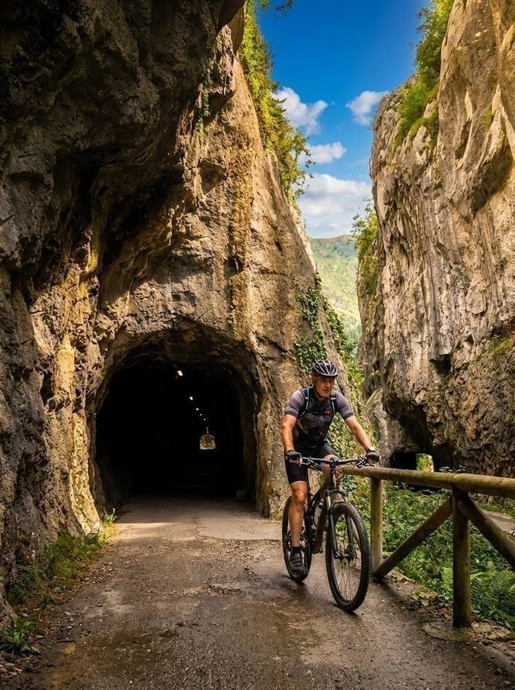 Alquiler bicicletas Senda del Oso